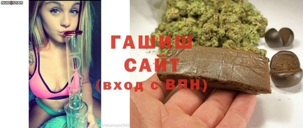 крисы Богородицк