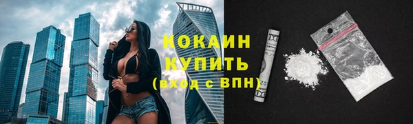 крисы Богородицк