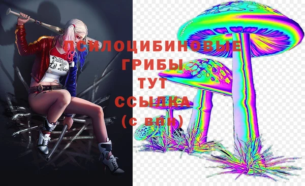 кокаин Богданович