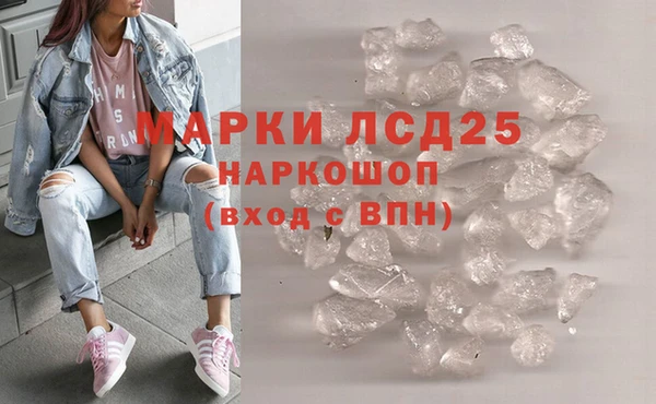 крисы Богородицк
