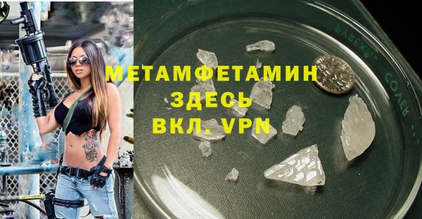 крисы Богородицк