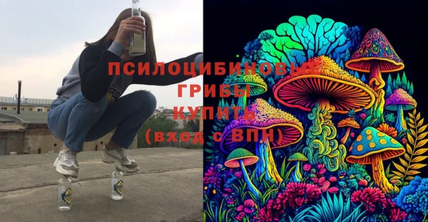кокаин Богданович