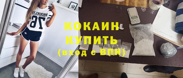 крисы Богородицк