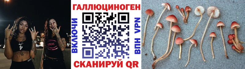 Галлюциногенные грибы прущие грибы  Дальнегорск 